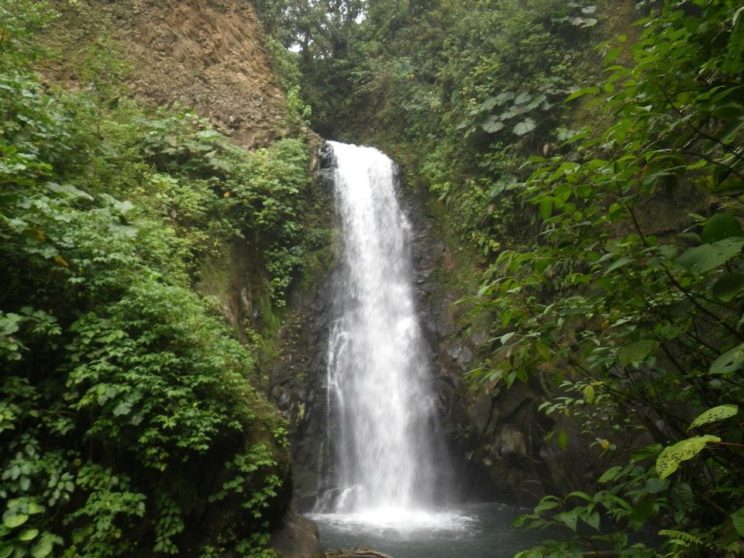 Waterfall in the jungle